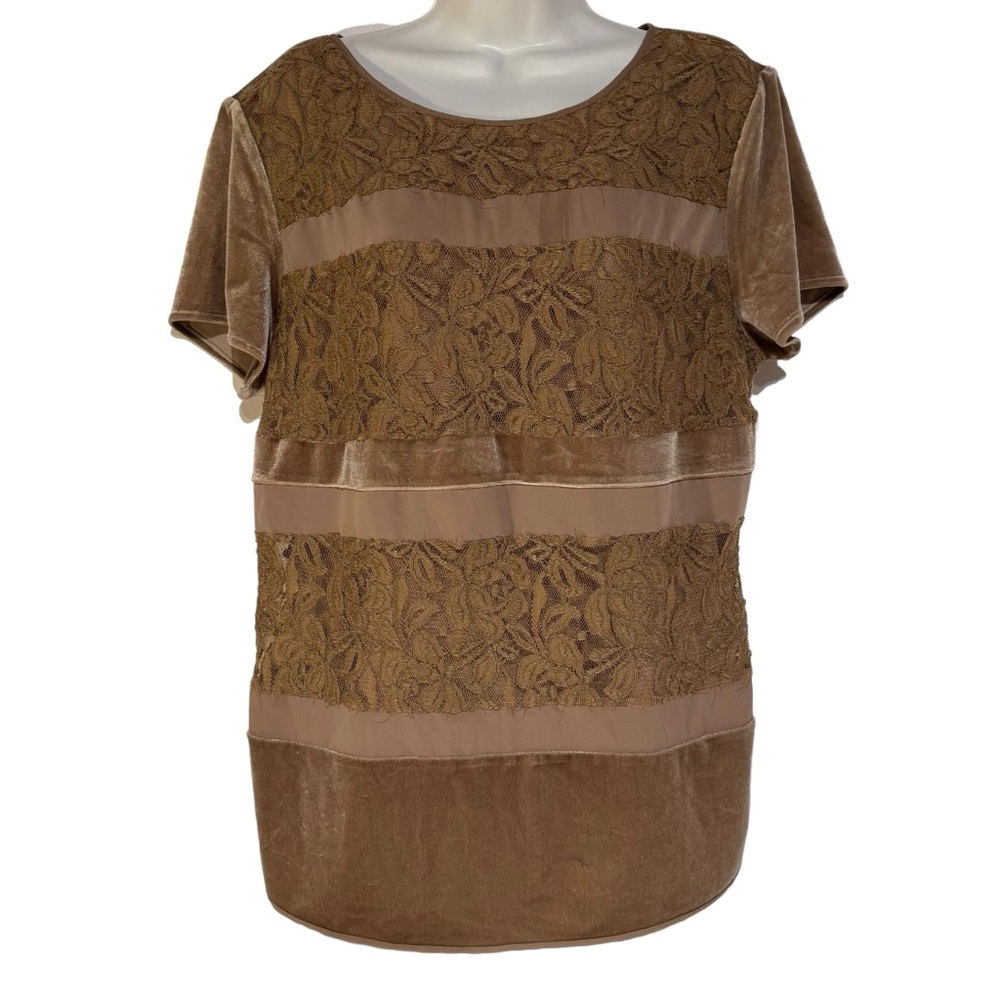 SUNDANCE VELVET & LACE SHORT SLEEVE TUNIC L